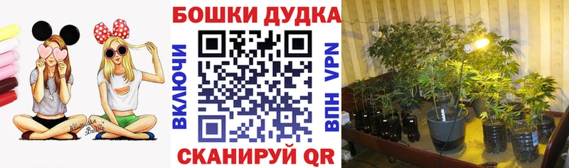 Где продают наркотики Балей ГАШ  hydra зеркало  Меф  A-PVP 
