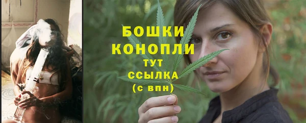 дживик Переславль-Залесский