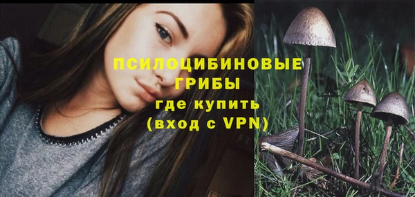 дживик Переславль-Залесский
