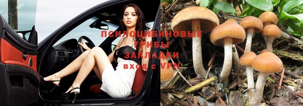 дмт Покровск