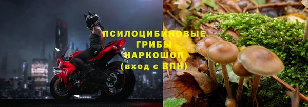 соль курить ск Пересвет