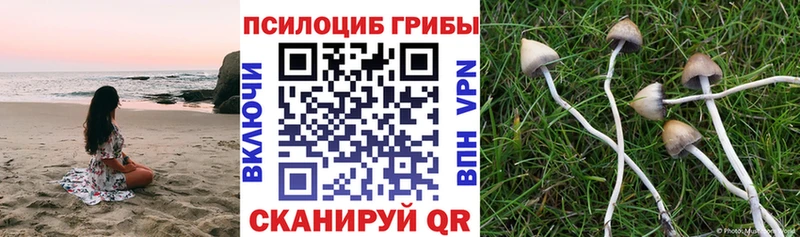 Галлюциногенные грибы мухоморы  магазин продажи   omg онион  Балей 